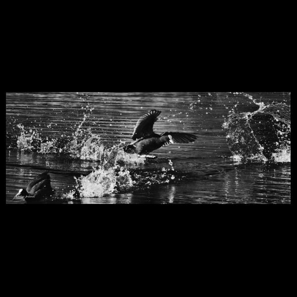 PHOTO84, CLUB, 84 , LUBERON